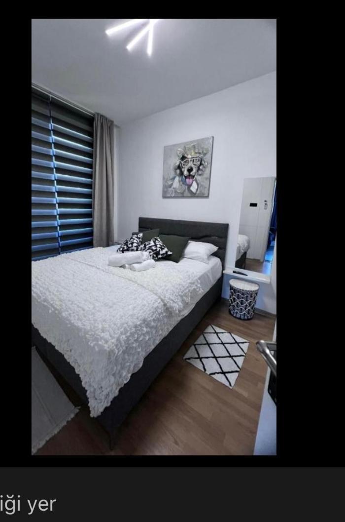 Palmiye Apartment 凯里尼亚 外观 照片
